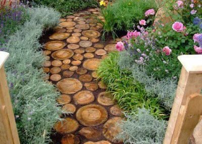 stump path